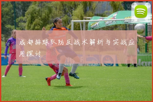 成都排球队防反战术解析与实战应用探讨