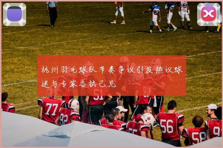 杭州羽毛球队节奏争议引发热议球迷与专家各执己见