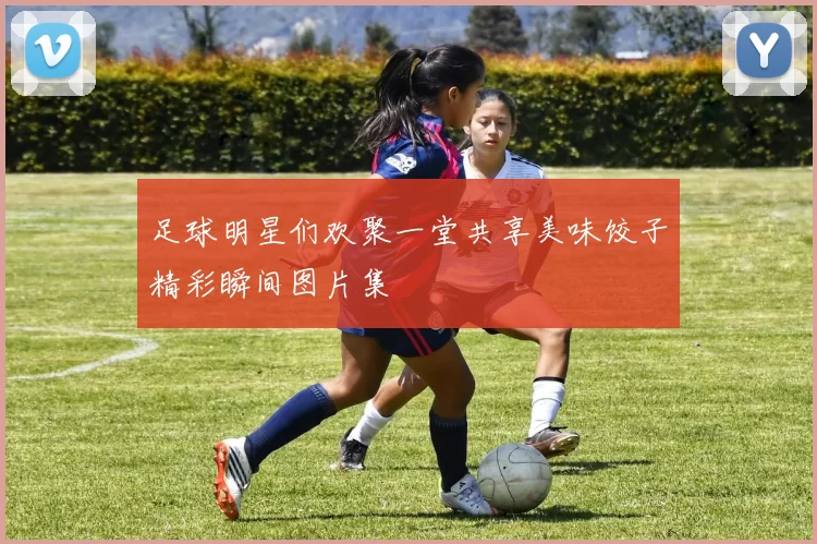 足球明星们欢聚一堂共享美味饺子精彩瞬间图片集