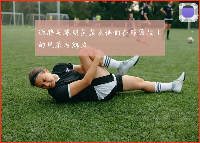 微胖足球明星盘点他们在绿茵场上的风采与魅力