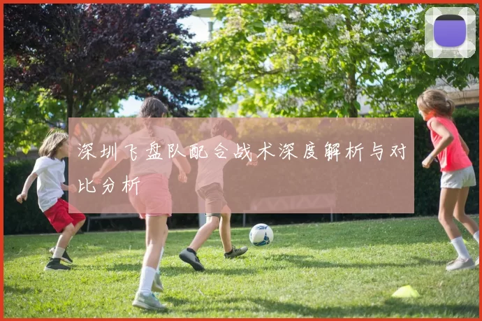 深圳飞盘队配合战术深度解析与对比分析