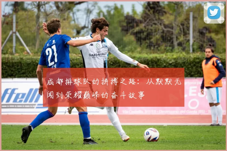 成都排球队的拼搏之路：从默默无闻到荣耀巅峰的奋斗故事