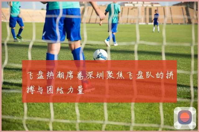 飞盘热潮席卷深圳聚焦飞盘队的拼搏与团结力量
