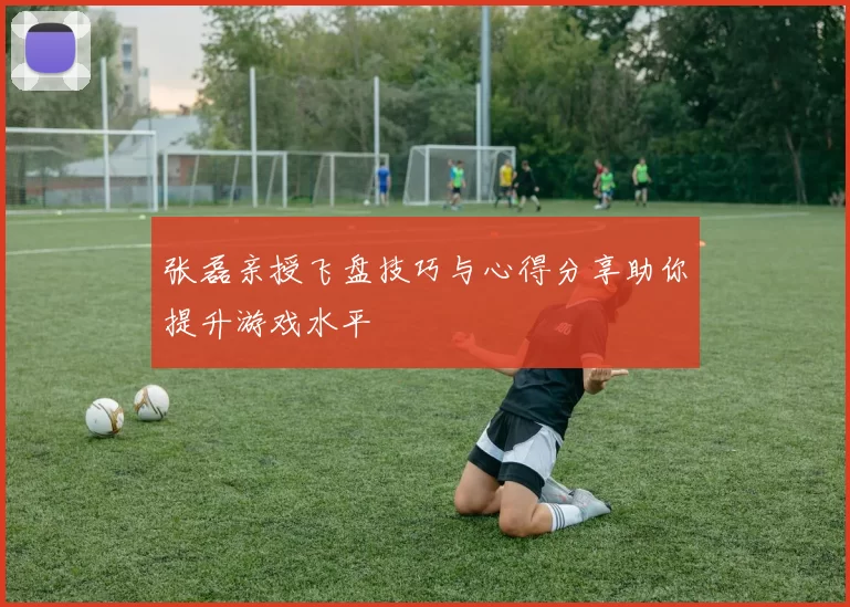 张磊亲授飞盘技巧与心得分享助你提升游戏水平