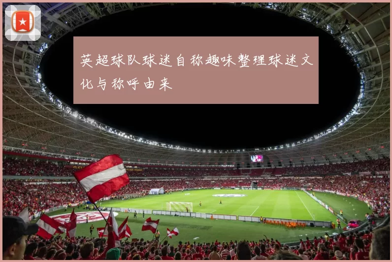 英超球队球迷自称趣味整理球迷文化与称呼由来