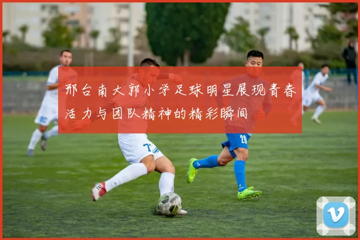 邢台南大郭小学足球明星展现青春活力与团队精神的精彩瞬间