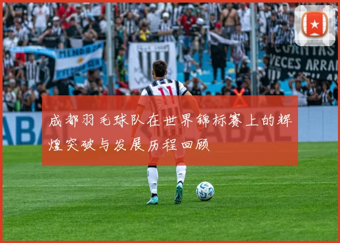 成都羽毛球队在世界锦标赛上的辉煌突破与发展历程回顾