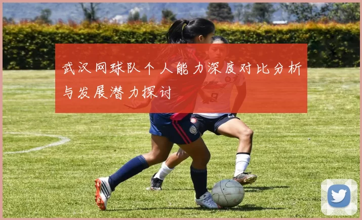 武汉网球队个人能力深度对比分析与发展潜力探讨