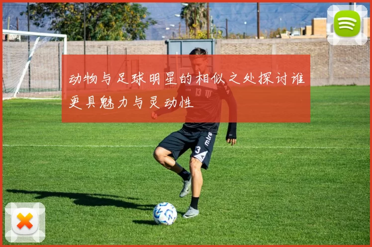 动物与足球明星的相似之处探讨谁更具魅力与灵动性