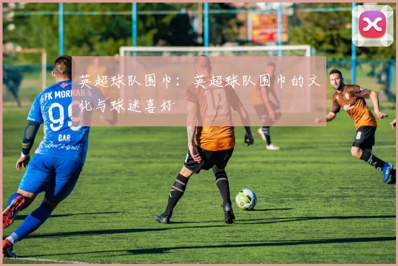 英超球队围巾：英超球队围巾的文化与球迷喜好