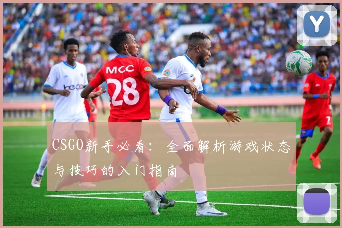 CSGO新手必看：全面解析游戏状态与技巧的入门指南