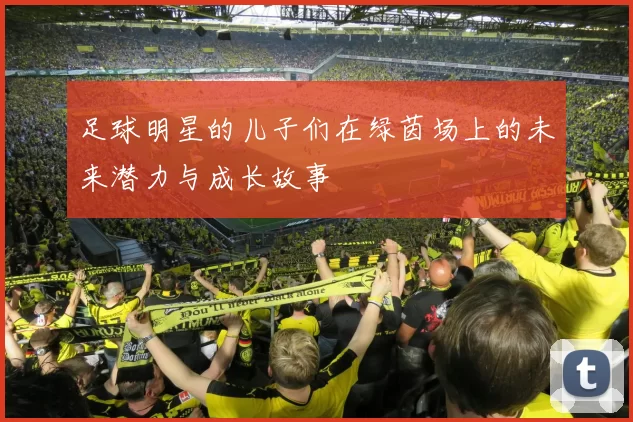 足球明星的儿子们在绿茵场上的未来潜力与成长故事