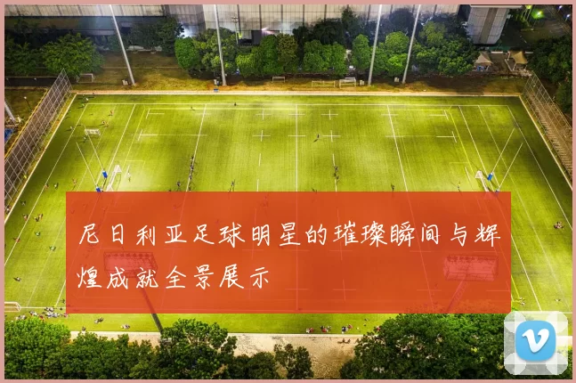 尼日利亚足球明星的璀璨瞬间与辉煌成就全景展示