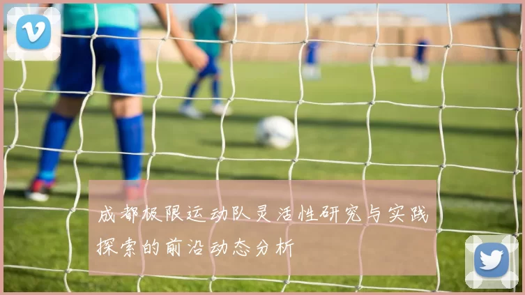 成都极限运动队灵活性研究与实践探索的前沿动态分析