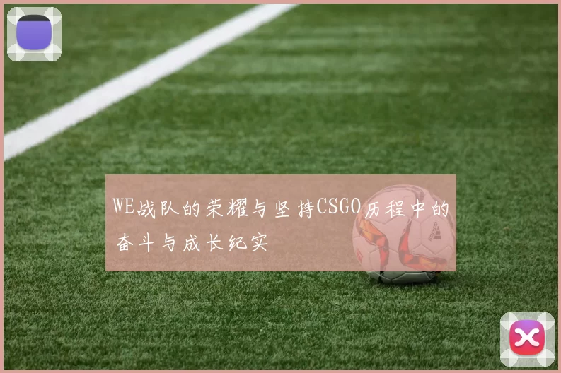 WE战队的荣耀与坚持CSGO历程中的奋斗与成长纪实