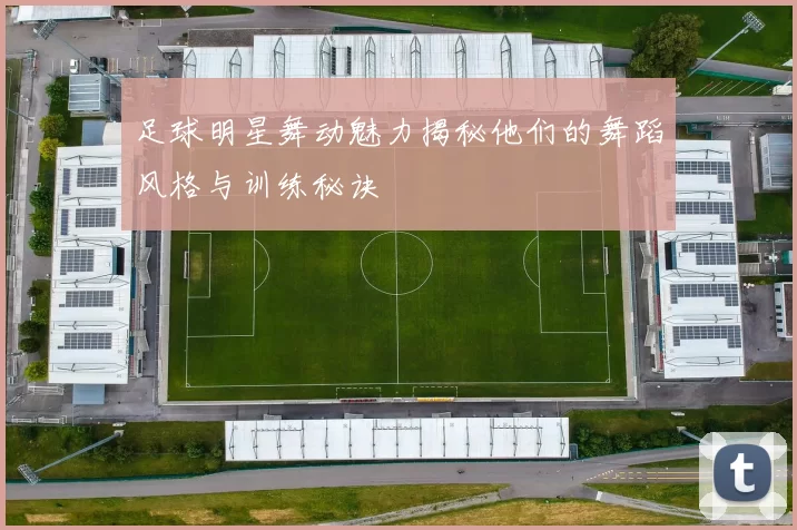 足球明星舞动魅力揭秘他们的舞蹈风格与训练秘诀