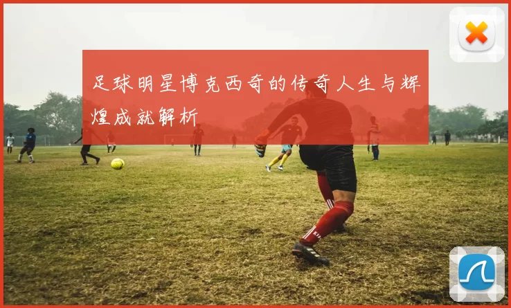足球明星博克西奇的传奇人生与辉煌成就解析