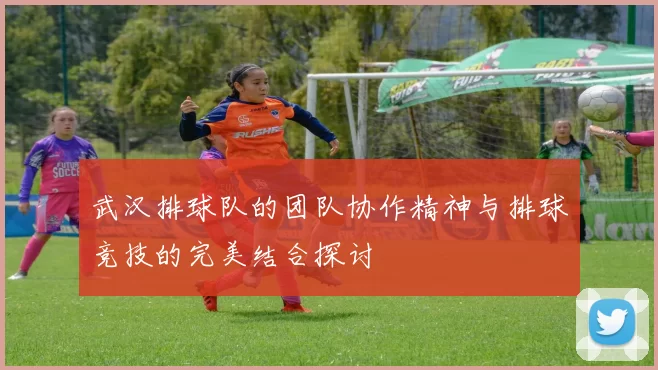 武汉排球队的团队协作精神与排球竞技的完美结合探讨